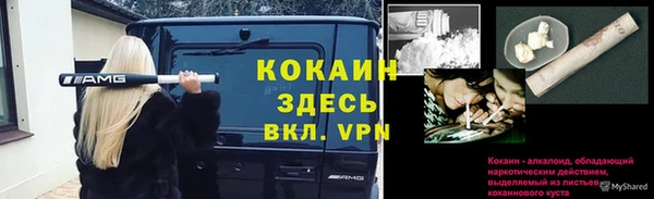 дурь Белоозёрский