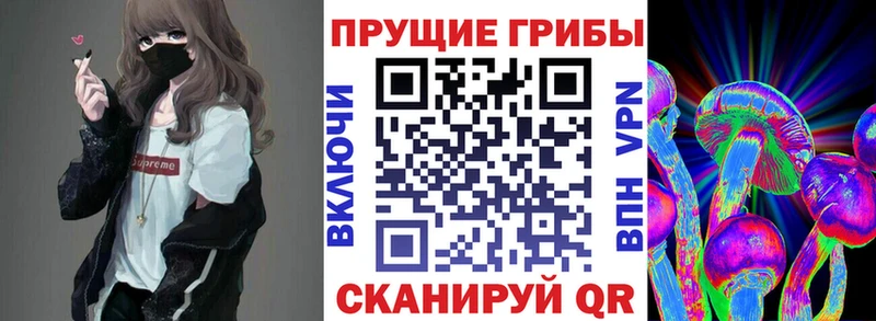 Псилоцибиновые грибы ЛСД  дарнет шоп  Волчанск 